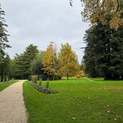 Jardin NOT DOG FRIENDLY