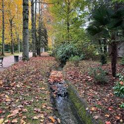 Turbines Jardin NO DOGS ALLOWED!!