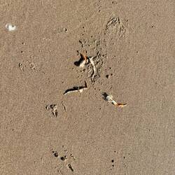 Ich glaube ich weiß wer es war 😉