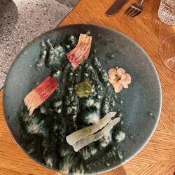 The sashimi and selection of daily catch with wasabi