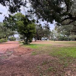 Can you spot Big Dave??