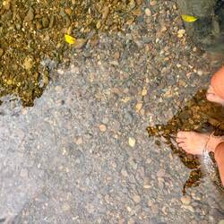 Wirklich sehr erfrischend 💦