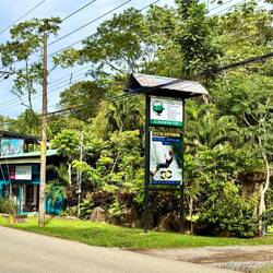 vielleicht eine Option an Aktivität 🤭