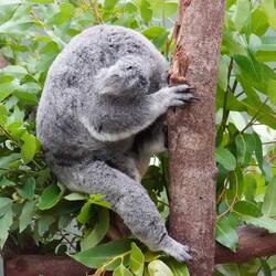 ❤️ ❤️ ❤️ simple cuteness ❤️ ❤️ ❤️