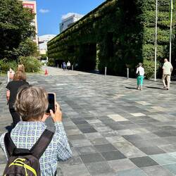 Live wall of green on leaving the building.