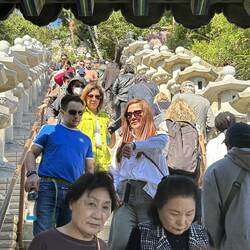 We were not the only visitors.