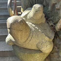 So, you want to be a turtle?