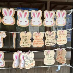 Prayer and wish boards in the shape of rabbits.
