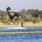 Perth Wake Park