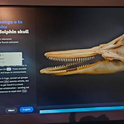 Tout est interactif et nous apprend le maori