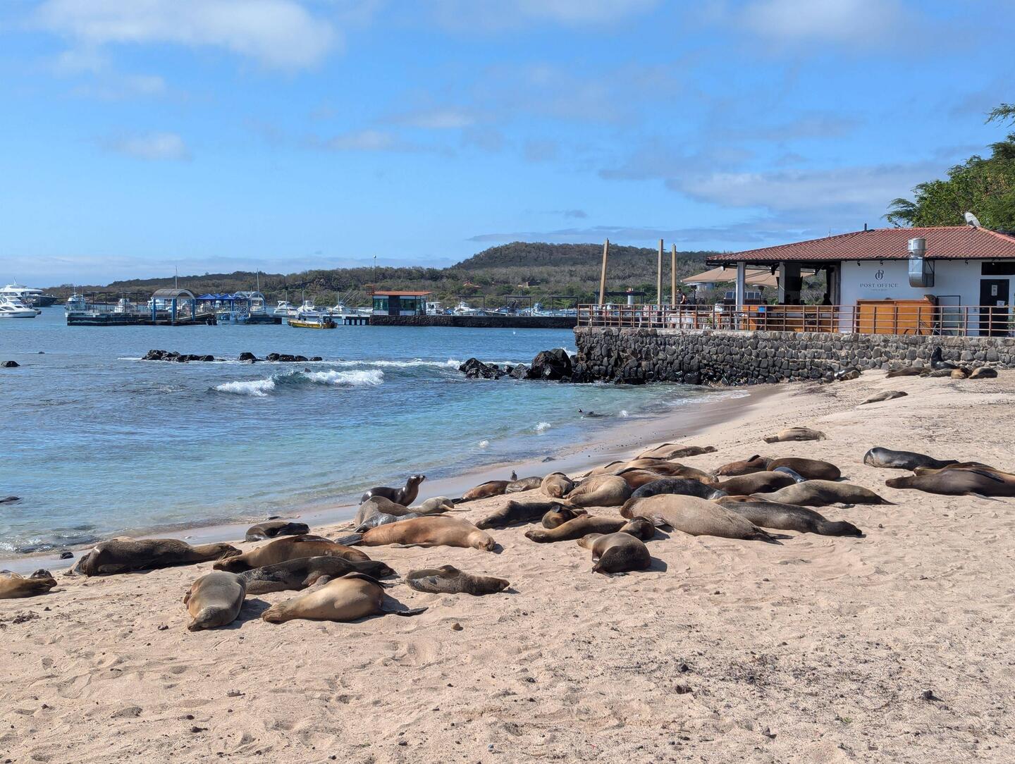 One of the beaches in the town of San Cristobal