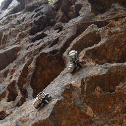 Die machen wenn keinen Lärm