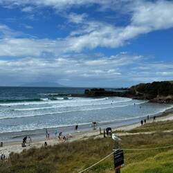 Tawharanui Regional Park