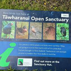 Tawharanui Regional Park