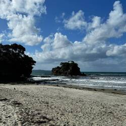 Tawharanui Regional Park