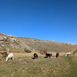 No es Paar Kollege troffe, dr Wyss (rächts) isch öpe so dräckig wie ig😂