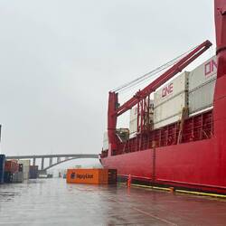 Die Strickleiter: Jetzt ist klar, weshalb Passagiere ein Arztzeugnis brauchen 😡🤪