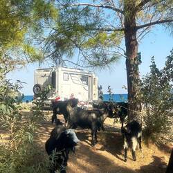 Überraschender Besuch 😅