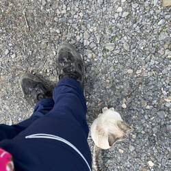 Es gab wieder Katzen!