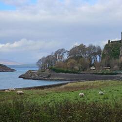 ... et ses voisins les moutons