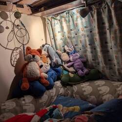 Ordnung muss sein ☝🏼