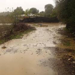 Nach einem weiteren Schauer verwandeln sich die Straßen in Flüsse