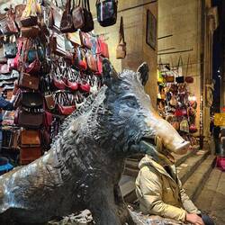 Rub the nose and you will return to Florence!