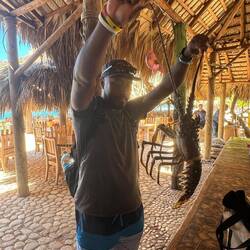 Hummer für das Abendessen ausgesucht