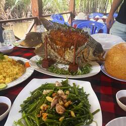 Lekker visje bij de lunch (elephant ear gourami)