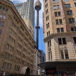 Innenstadt und Sydney Tower Eye