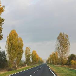 Solche Straßen sind eher selten