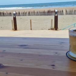 Kleine Geier gibt es hier auch.