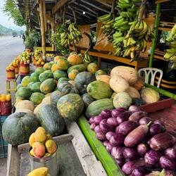 Ein Eimer Mangos für umgerechnet 3 € 😋