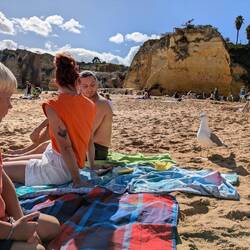 Auch hier gibt's freche Möwen