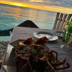 Abendessen beim Sonnenuntergang 😍 Besser geht es nicht 🥰
