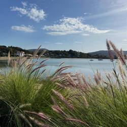 Small inlet in Hendaye