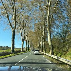 Fall colors in France