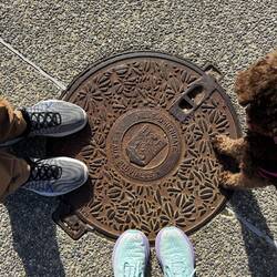 Sewer cover pic