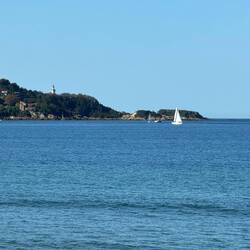 74 F degrees today and gorgeous