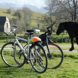 På plateauet ved Les Chevaux du Benou