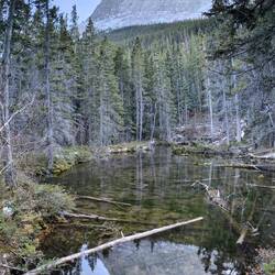 Grassi Lake1