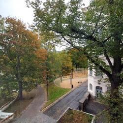 Der Ausblick aus meinem Fenster ist ganz schön