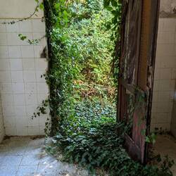 Die Natur klingelt nicht