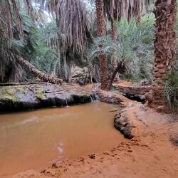 Unser Planschbecken mit schön warmen Wasser...