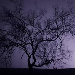 Abends noch schönes Wetterleuchten