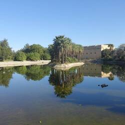 Unweit der Medina ist ein großer Park mit Palmen, Bambus, Volieren und diesem Teich