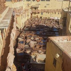 Dann wird es in diesen Becken gegerbt und gefärbt