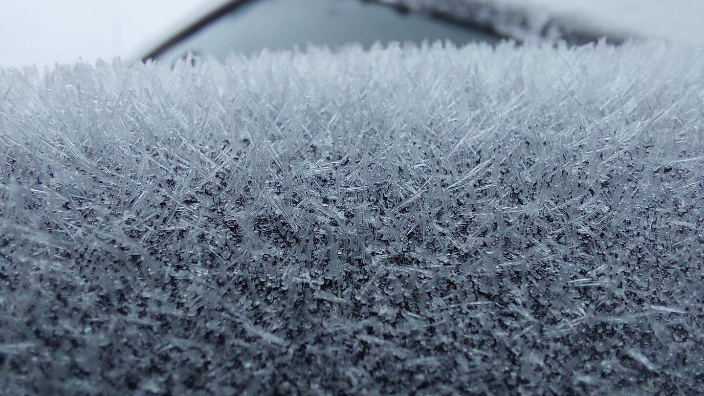 Sehr kalt heute, ich muss kratzen