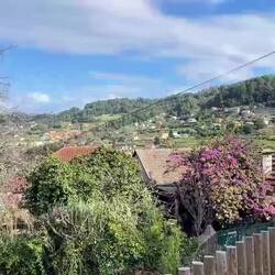 I walked the last few km into Redondela with Anna from South Africa.She's on her 2ndCamino this year