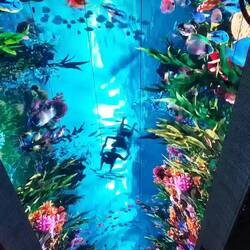 Viva Vision is the largest LED Canopy screen in the world - GIGANTISCH!!!